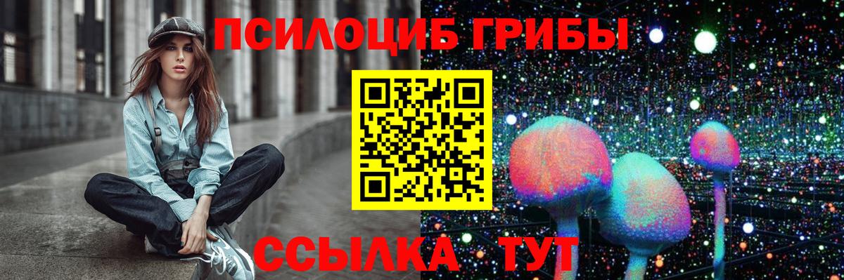 Псилоцибиновые грибы Magic Shrooms  Вход с VPN  Ачхой-Мартан  Псилоцибиновые грибы мицелий 